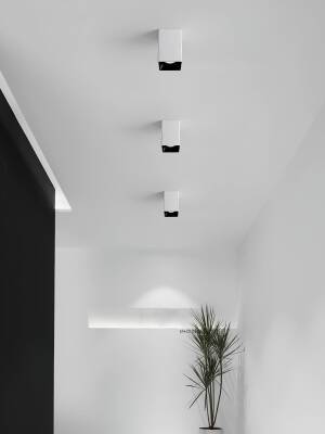 Sıva Üstü Silindir Led Spot Beyaz-Rose-Black - 4